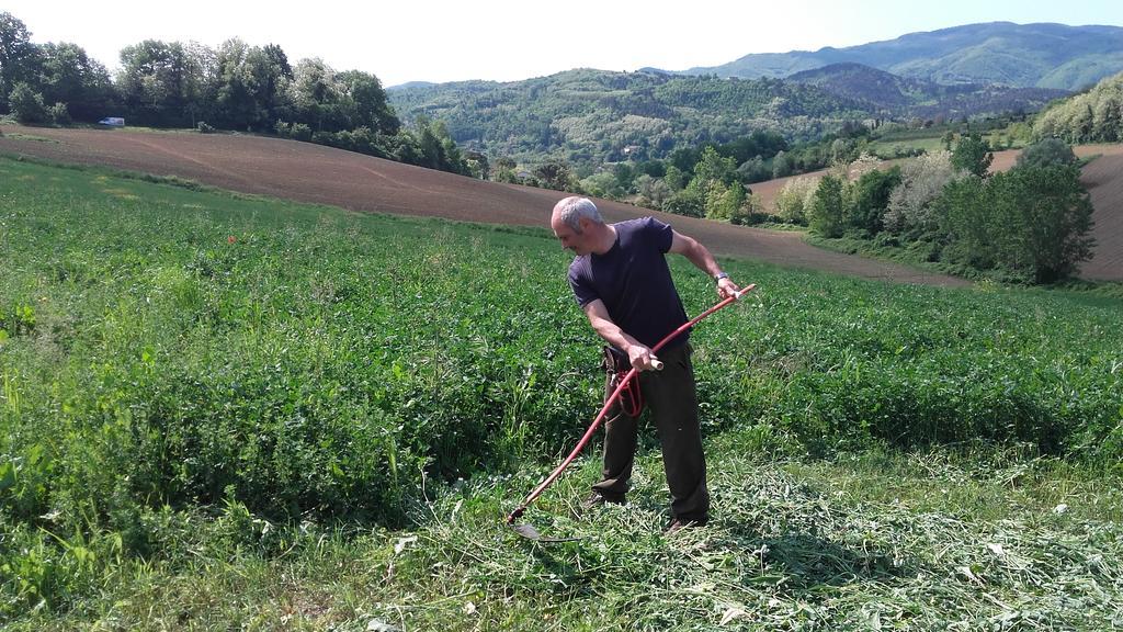 Agriturismo Stazione Di Monta Villa Викио Екстериор снимка